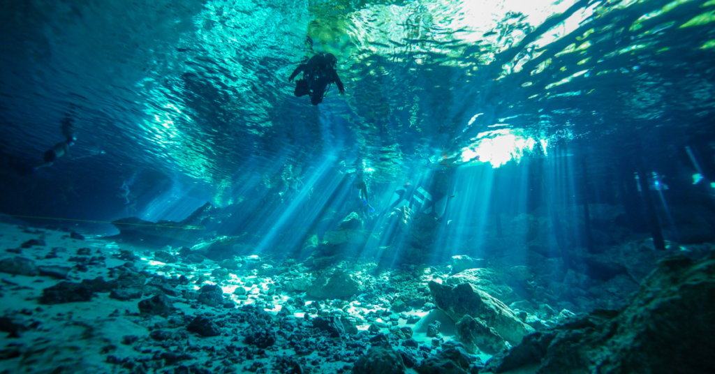 Cenotes will take your breath away of it's natural beauty